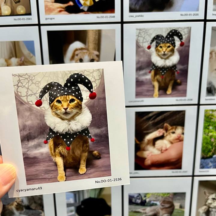 B55ce4c0 5068 4cd4 9e0a bb011c384b1d 1694864069771