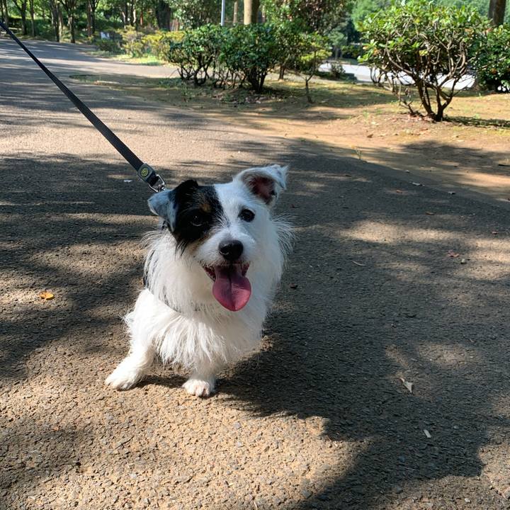 B55ce8f5 a881 4fa1 9a15 f8b7e2f38990 1597278722202