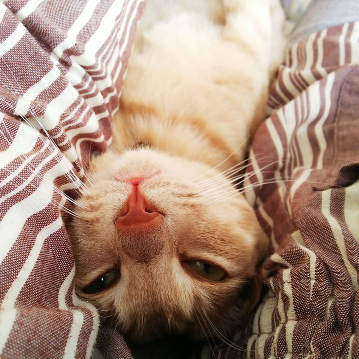 B55d05bf 4dca 4963 be0f 22d42bd59882 1609737666562