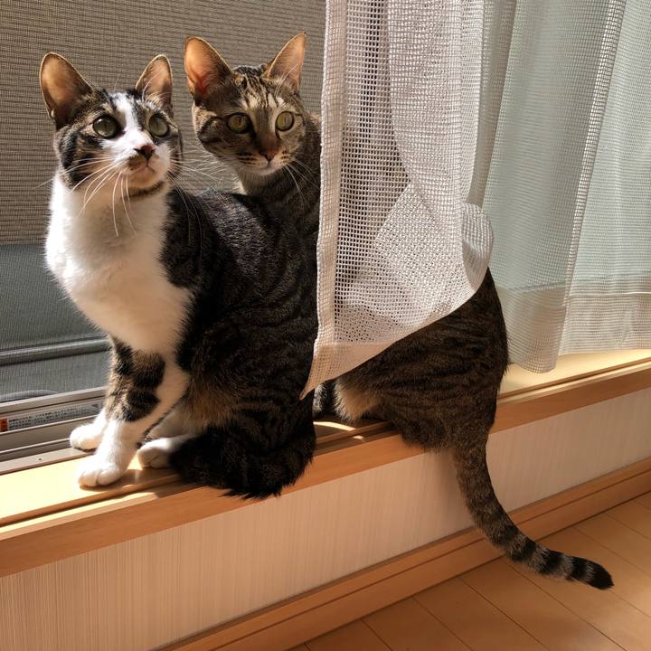 B55d3d8a b139 4ef8 9b89 51ebf2647257 1521824365983