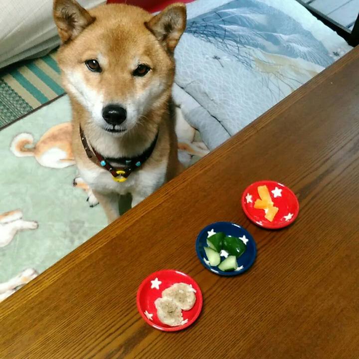 B55d5dad 6311 43e2 abfe 05e8406f61de 1541739482366