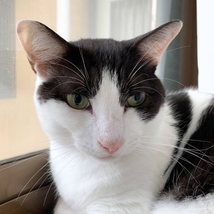 B55d6cfe 5814 414f a578 764fa18d494e 1570241322226