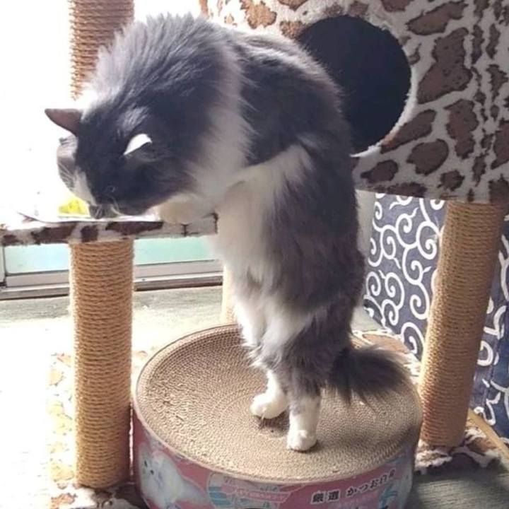 B55d7bcf ffc8 4210 b7a7 7868c50ac241 1687596537424