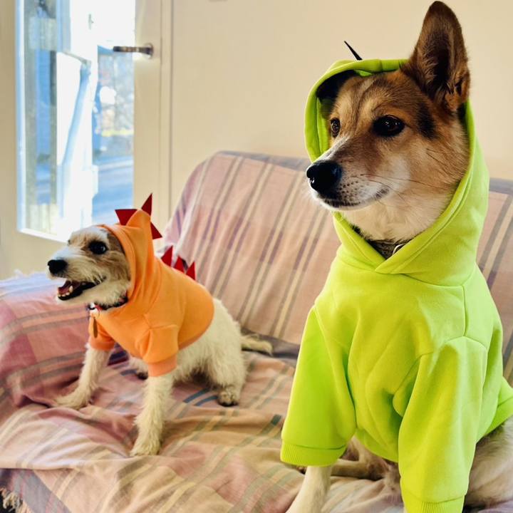 B55d9ee5 cbee 4c80 bdf2 2caa0ad105e4 1765113924698