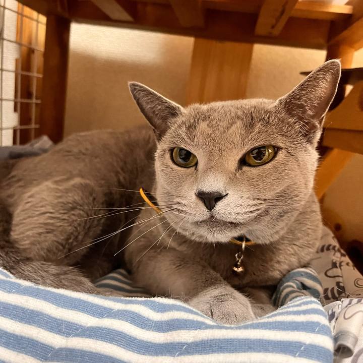 B55dc947 3376 4392 ac72 dd559e1027cc 1667572845783