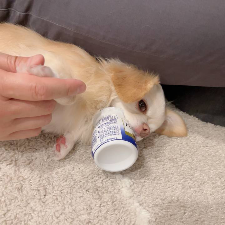 B55ddf11 63ca 4ba8 868d 9425ac21a1f0 1730678419826