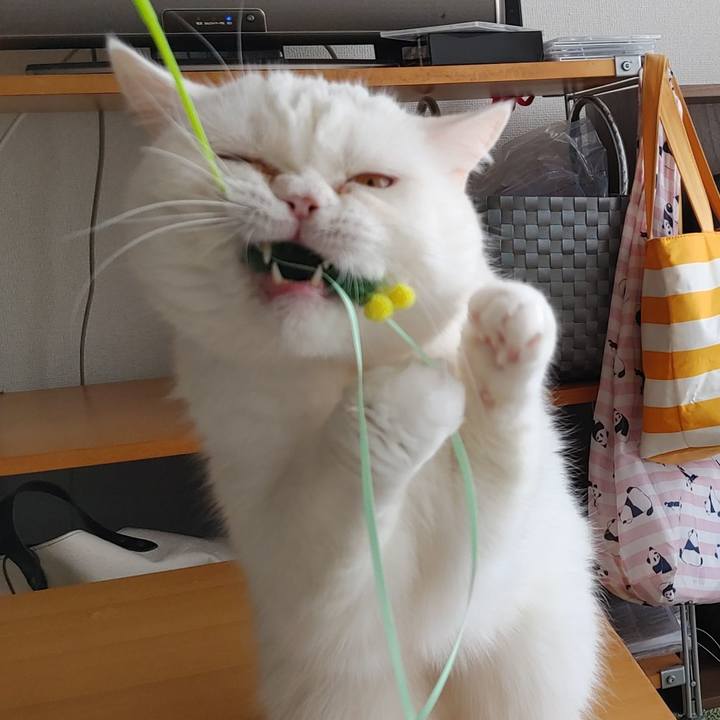 B55dfd09 8392 4b89 a0e8 5b7b8a034e70 1645238098613