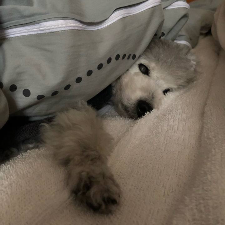 B55e31ee 8f00 41ac 8188 2fa5f99bea37 1577015487494