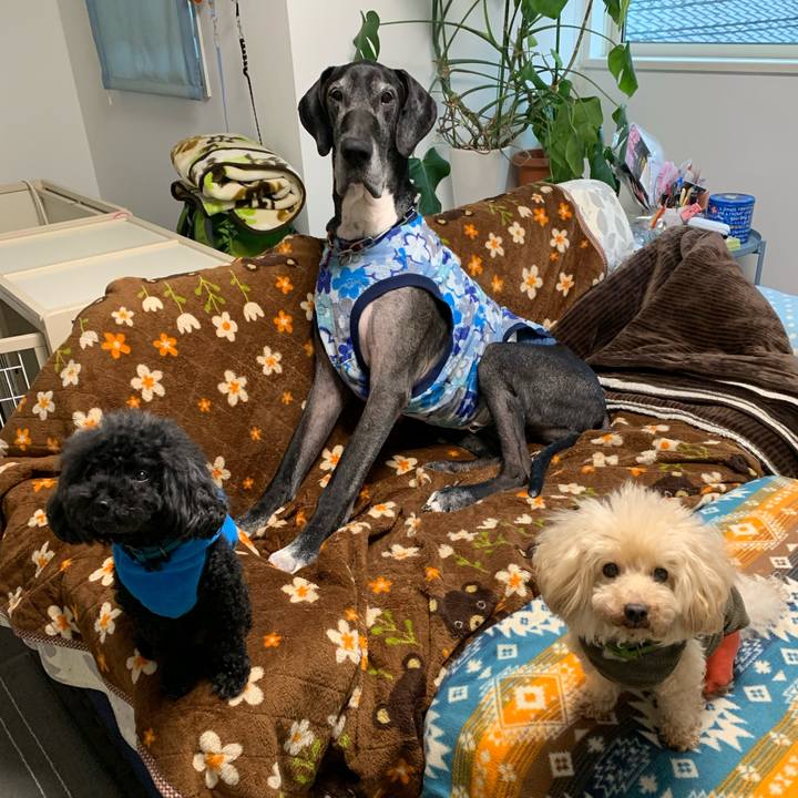 B55e4434 4e1a 4ec9 81fe 671d6a0775b5 1607468009206