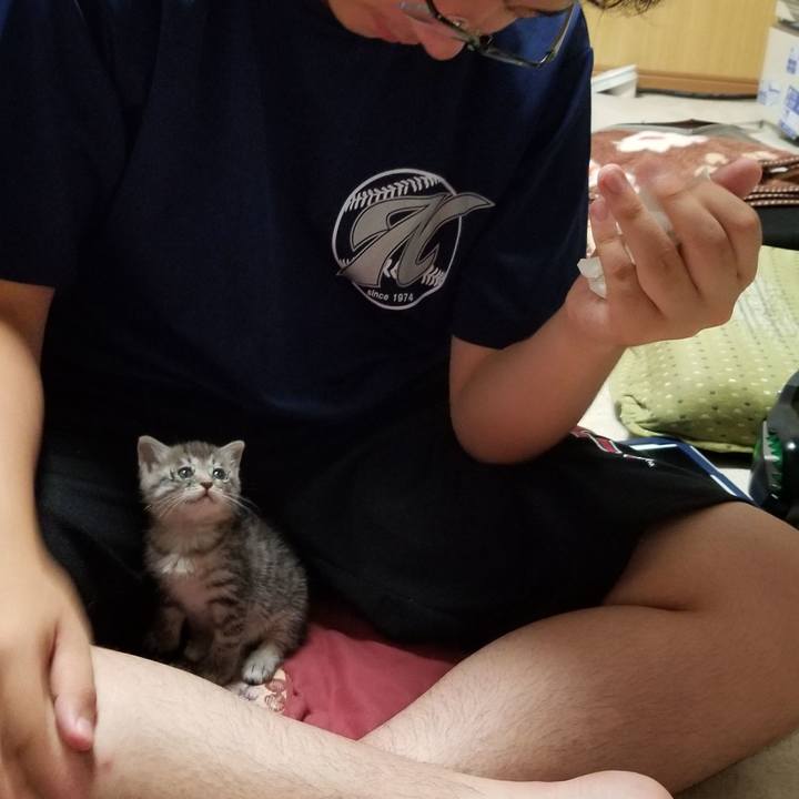 B55e5ab2 1625 487d 8fea 48f07a11c154 1660575158853