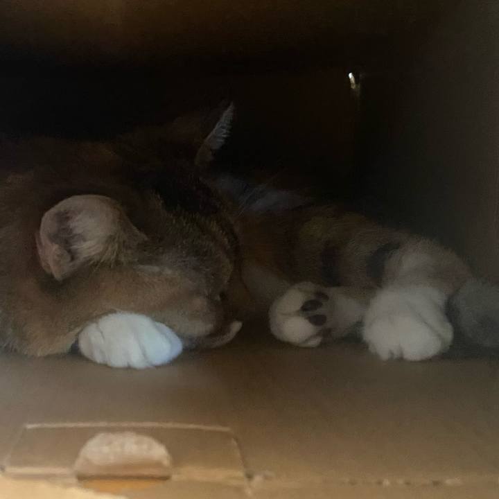 B55ea4da a3f4 46ae bb0b acf369b1ab53 1760761399430