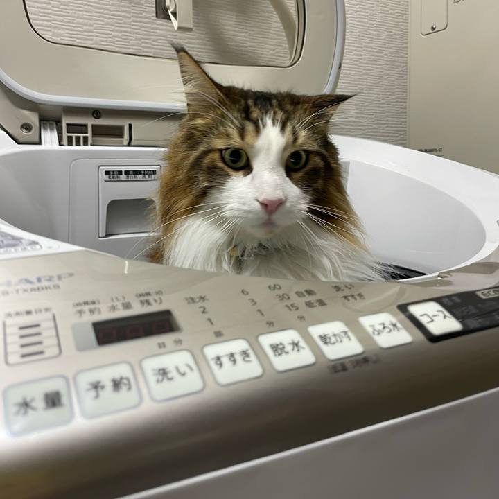 B55ecd1b 597b 4db5 b08e 75404a2688e8 1706729386061