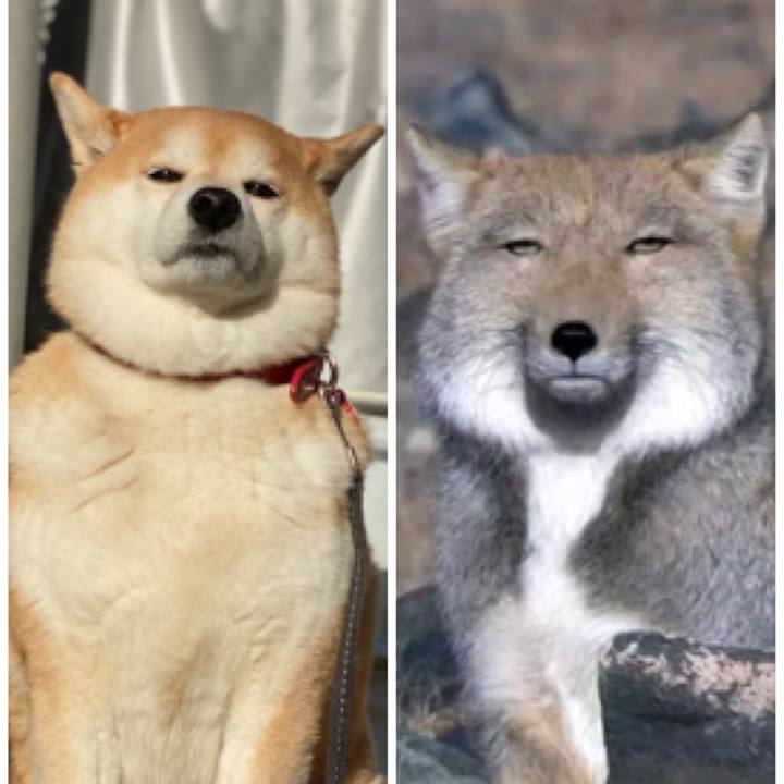 B55ef0db 09c7 44c7 98a5 40e270908a4d 1614921410074