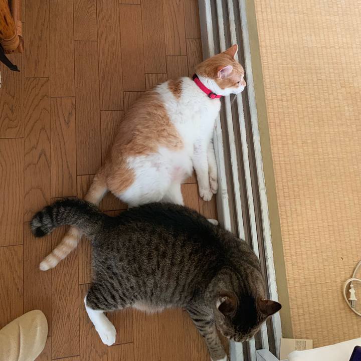 B55f0aff eb5d 4afb ba90 08c720fc8dea 1566170719798