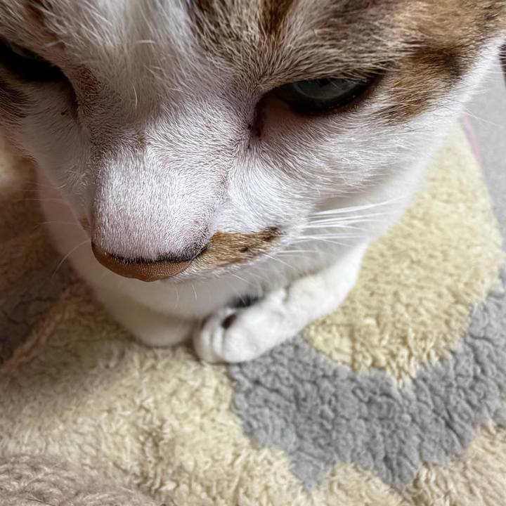 B55f33eb 29f5 43ab a0d3 ce970d4f81cd 1774476281914