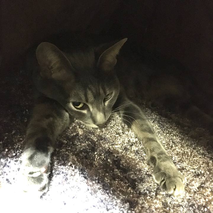 B55f4b26 d790 451e 8d6b 0e810de2bdbe 1578660552185