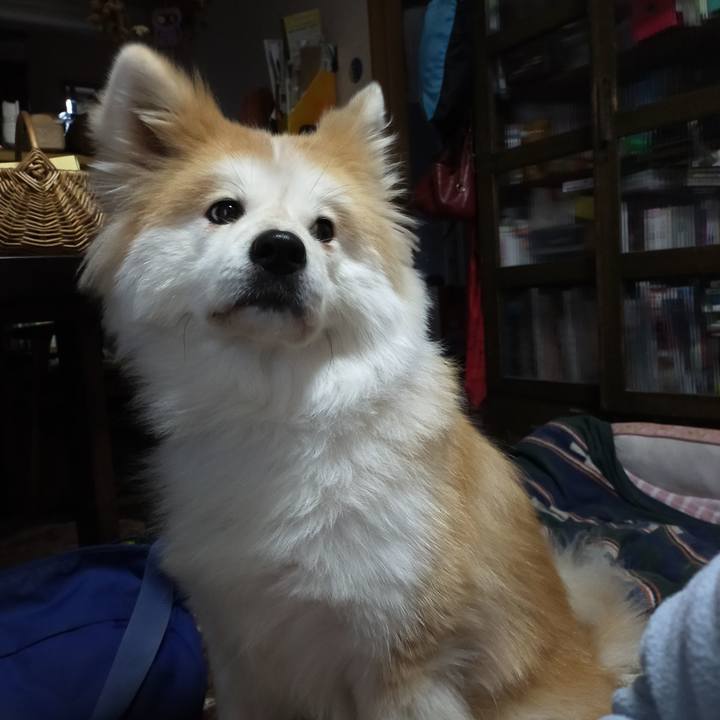 B55f64c0 fbe2 491d 802e 7bca40b3f380 1642075463360