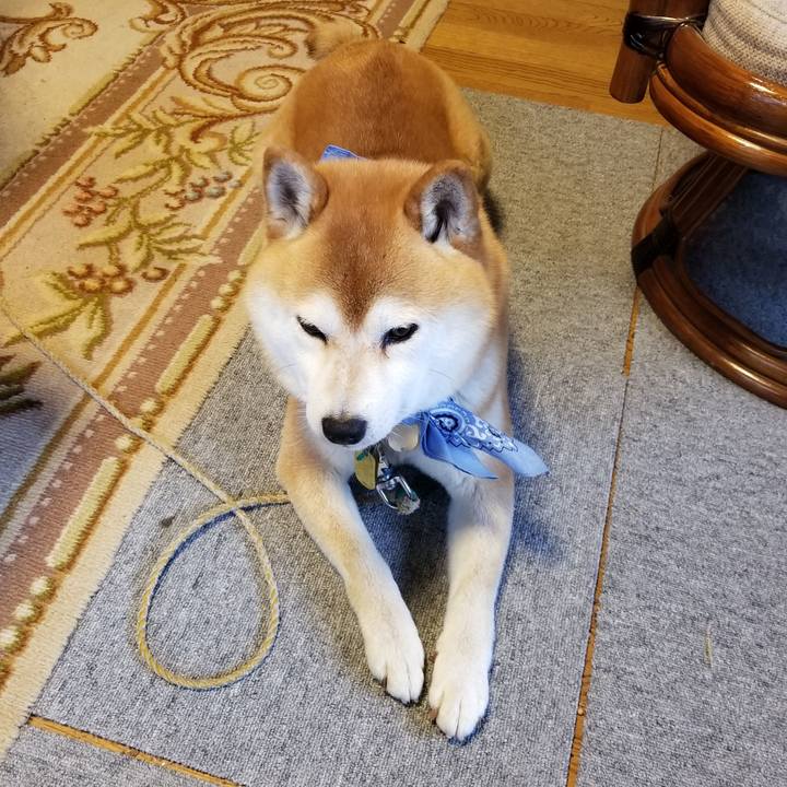 B55fb100 ff33 47a4 b3a0 d7773c5c467d 1559290534514