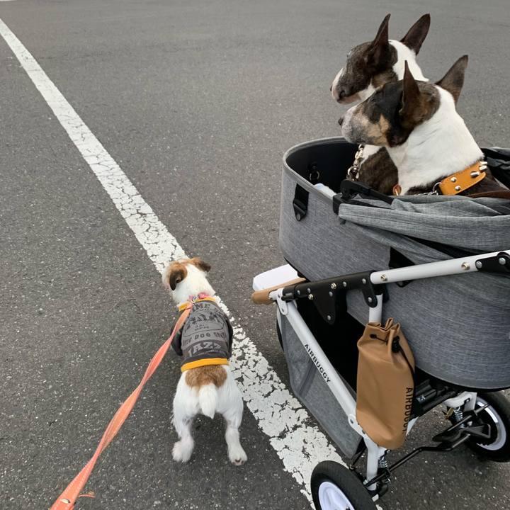 B55fc4c9 36cd 4a1f 8e5f b03da5aea85e 1620043223152