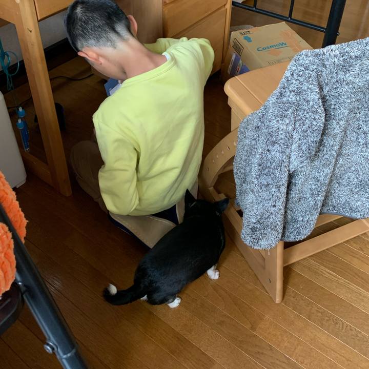 B55fe736 52df 41b1 8fc7 a4230e8b6b81 1586565590262