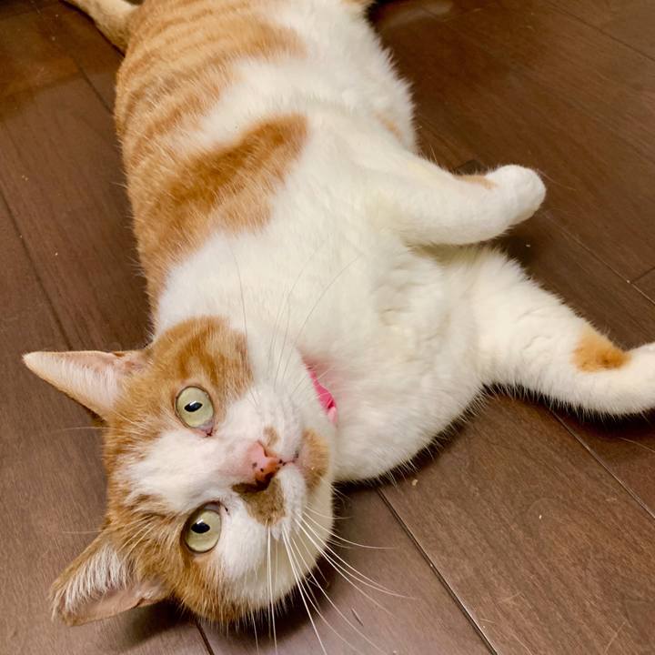 B55ffe0a 4b73 4584 8ffd 1b90714d2707 1569761087832