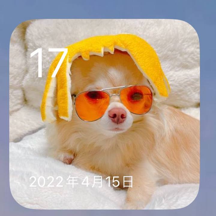 B5601451 ab4e 429a a12a cc1d64ed0e50 1681715496082