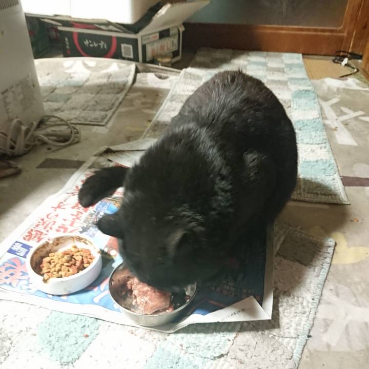 B56020b6 3a07 4351 937b d91c51eb9474 1652872980437