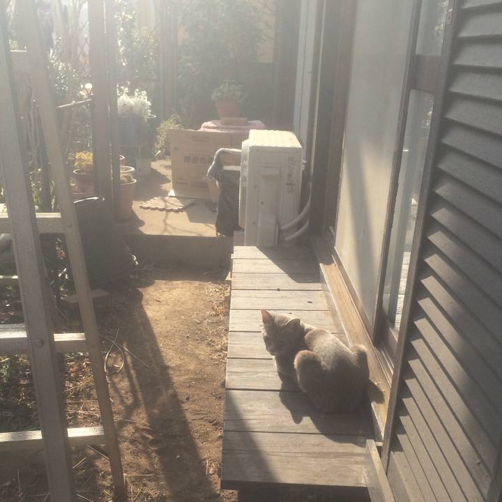 B56023cd da20 4bb5 a30c 2fc451568a7c 1550663125012