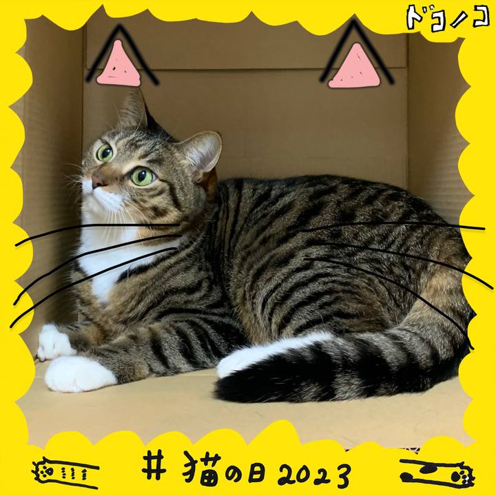 B5606c1d e9b9 43a7 bcf8 f7f8b6aaabd2 1677071739557