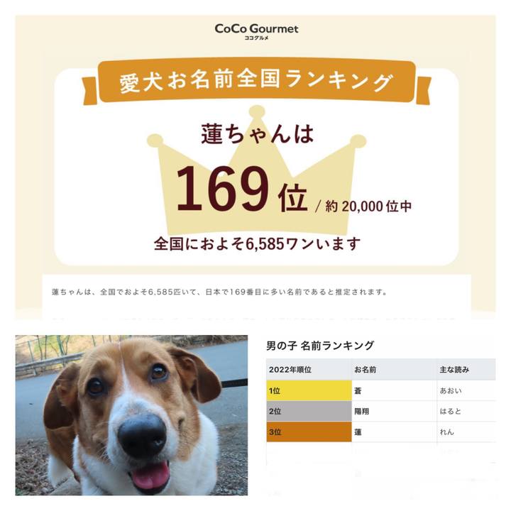 B5607d31 8db4 4677 a546 ee34dd90efce 1684554411432