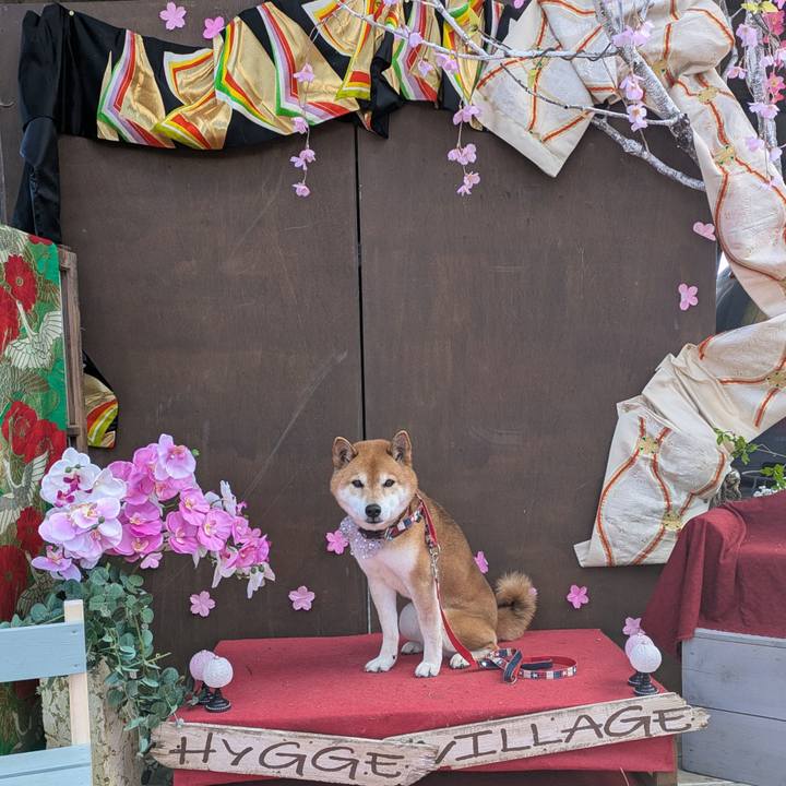 B560921b 8dfb 4ffd b45b 72784a1ed41d 1741588201581