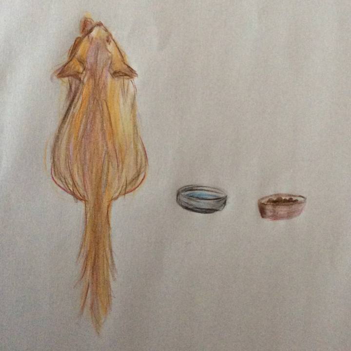 B560a6e6 710b 429c aea0 d77de96b9f95 1594010269392