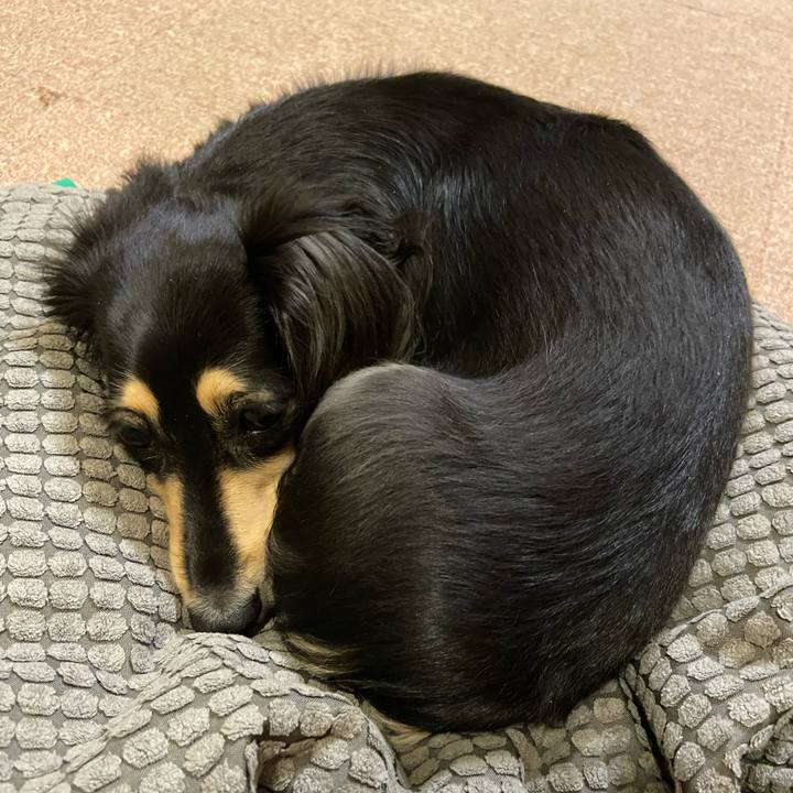 B560ee19 588c 4c2a b0ea 3ee6449410d5 1732983957728