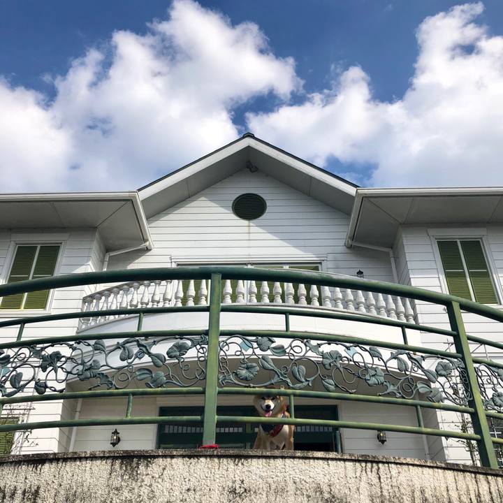 B561b915 368a 4161 a858 0311eaa83226 1539858776313