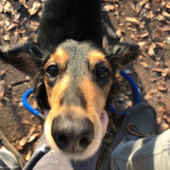 B561c1ce a22c 46ec 9578 691f6de059ce 1542435158682