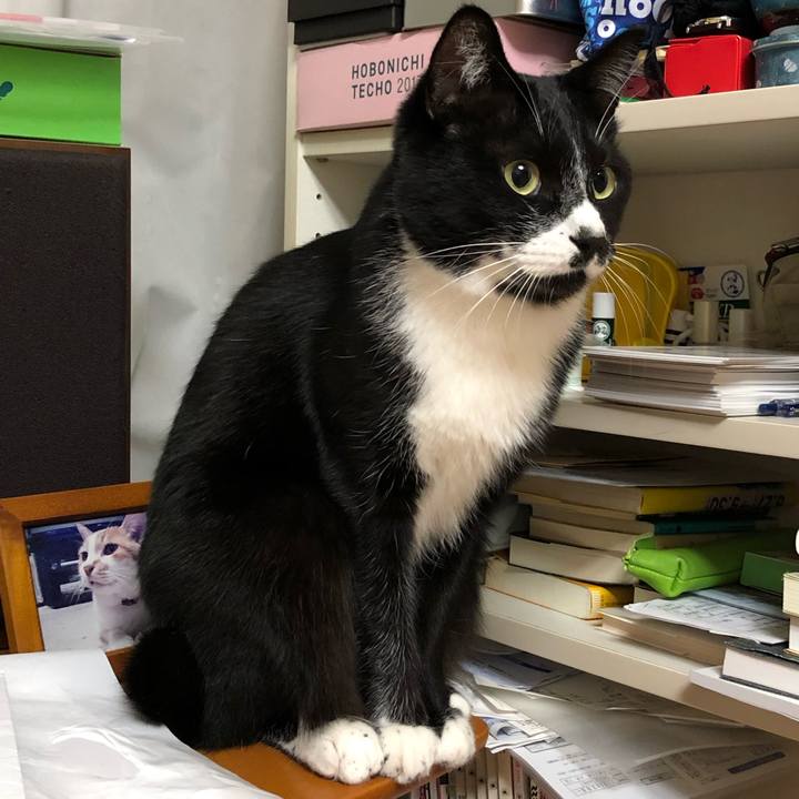 B561dbfe 9a49 488e bdd5 0eaf155bb951 1573616458992