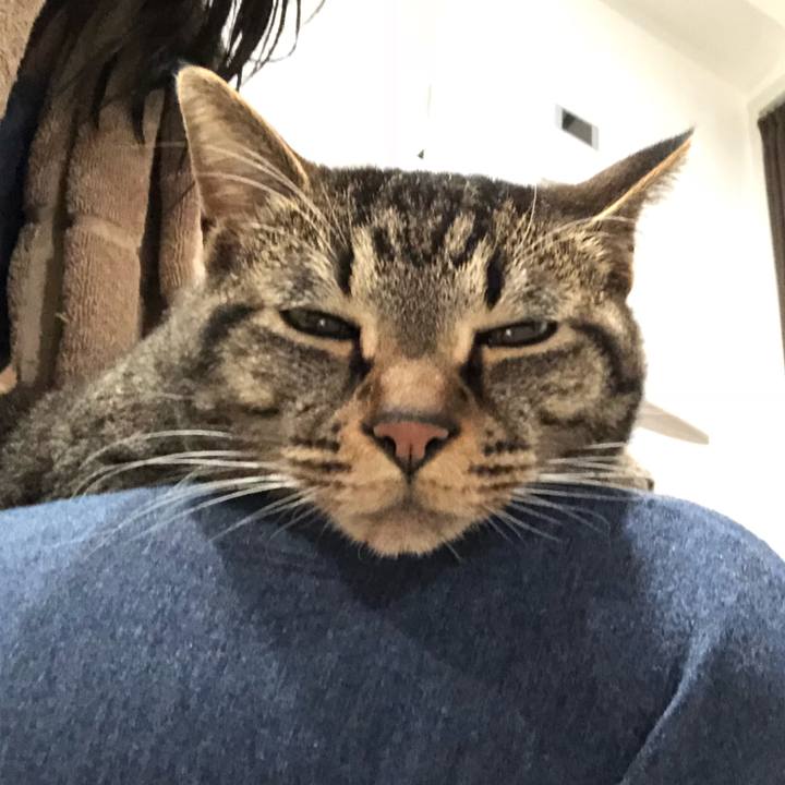 B5625050 f97d 427a a3bb 321f8509e9ff 1523633739938