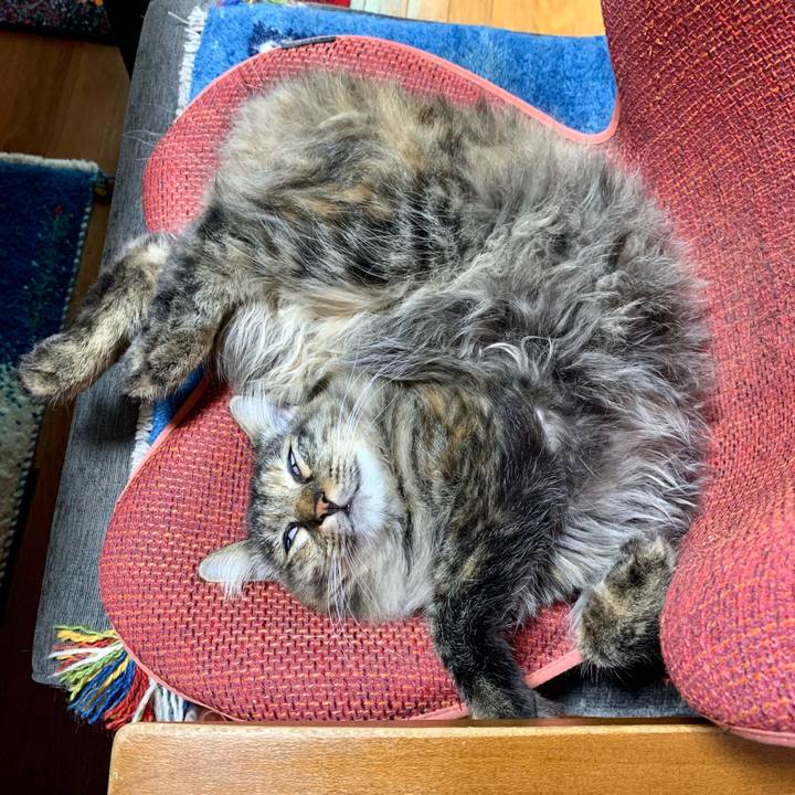 B56255ff 7f4d 48f4 a039 abf90e96eca6 1658626051670