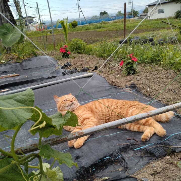 B5625d4a 7c05 48c3 ab0c 238b737d7ea8 1688465678762