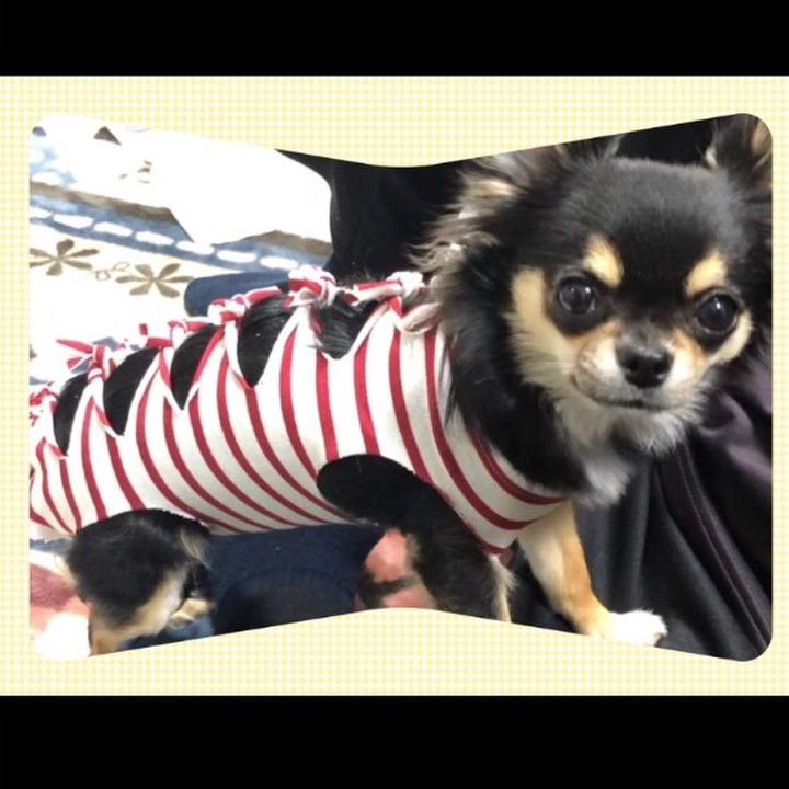 B56289d6 7f69 4248 a4f5 e656c5cdc5bc 1547939673124