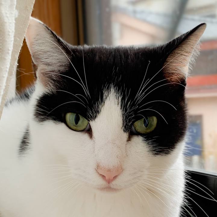 B562b3f7 098f 40d6 ac25 7f8fbc0b1665 1575078245620