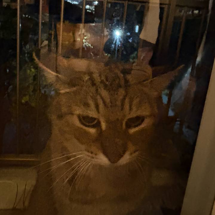 B562b73c b4c8 49ea 9930 d40439b51267 1774786306195