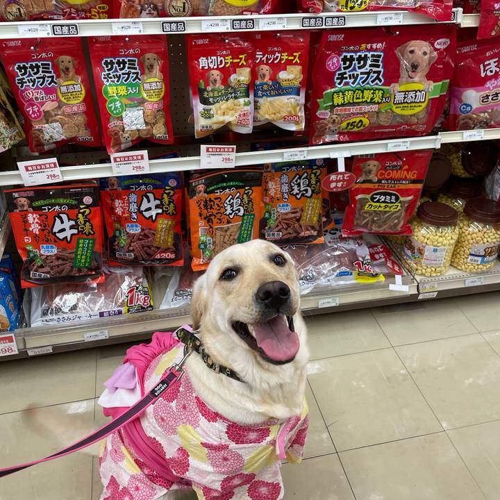 B562c80e eabc 46c9 85c7 2b2936e4114f 1654089219713