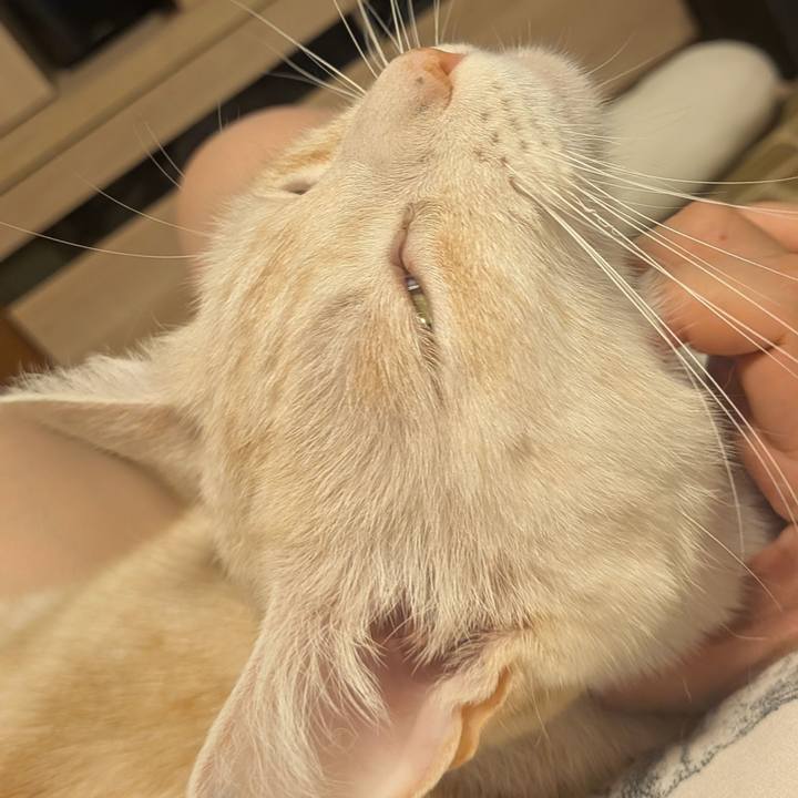 B562f3f9 83a4 4f9f a5d0 00f1ac806a78 1756894425698