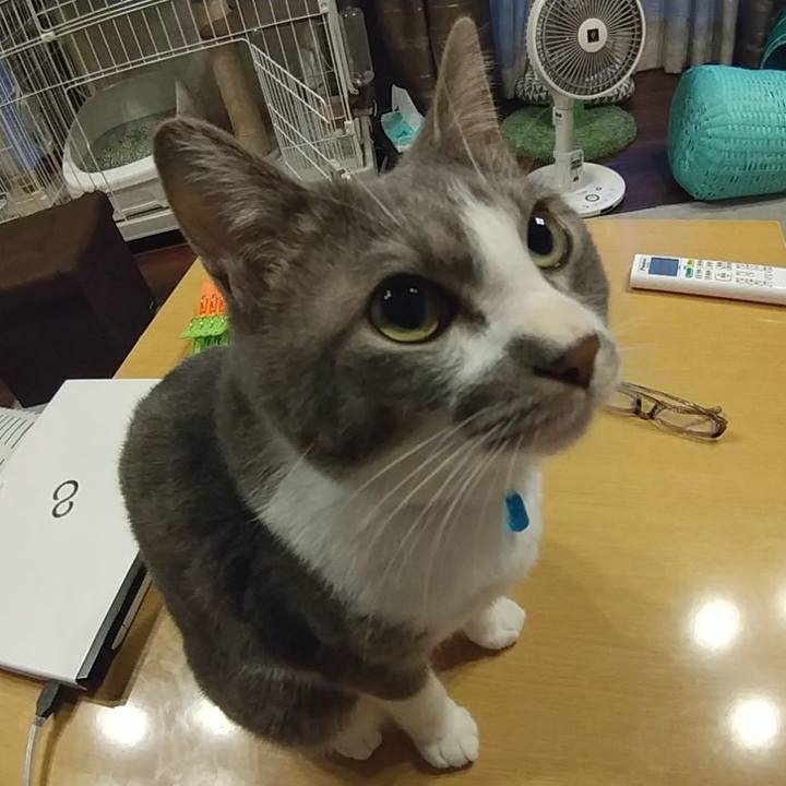 B562f537 7e5d 4fc0 8eb7 5faac3242155 1613340083932