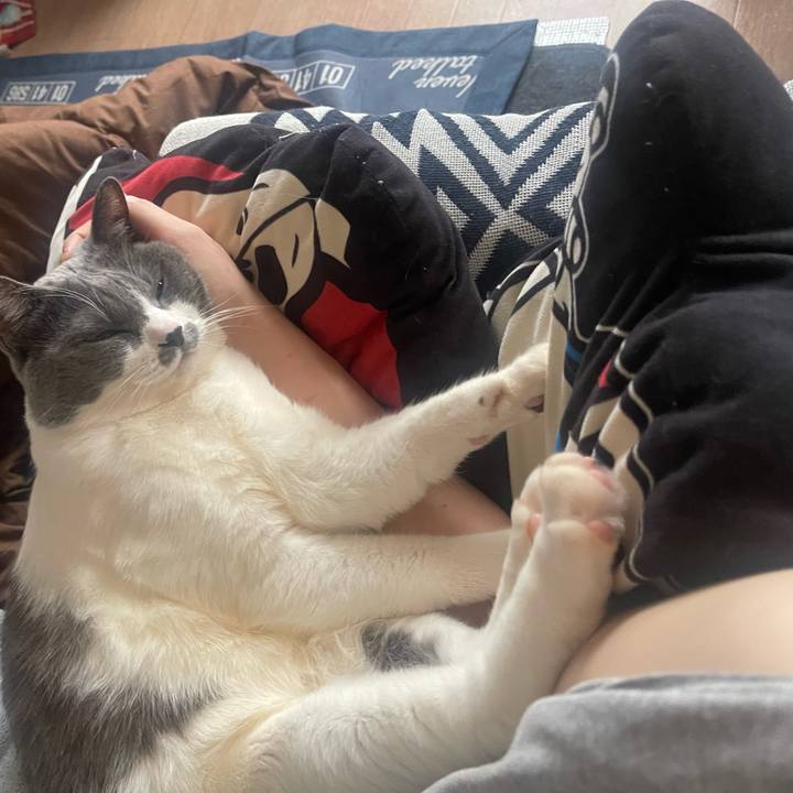 B5631628 ff68 401f bdda 913aca37fd4b 1735535755806