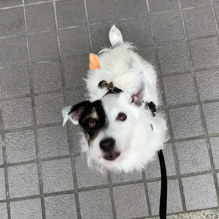 B5633051 4869 4996 bdde 8f8d516977a6 1719357568781