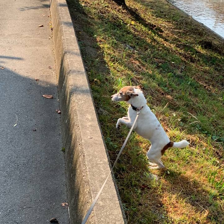 B5633571 be9b 4c39 8e55 3f09577ee048 1627773319083