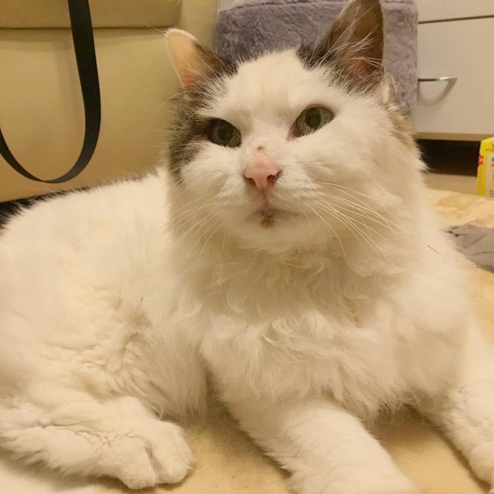 B563eb6b 2997 487c a6b2 0c18223778e9 1581948267921