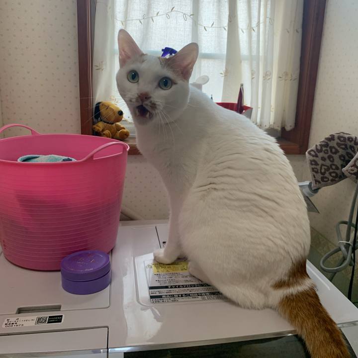 B563ee3a ddbd 4c5a ae6e fc9339b6db46 1623276044163